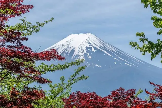 일본 여행지 추천 - 후지 하코네 이즈 국립공원 - 썸네일